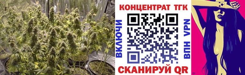 ТГК гашишное масло  Новокузнецк 
